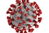 Coronavirus.jpg